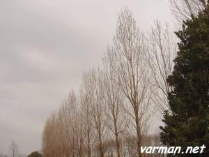 Japan's "Science City"