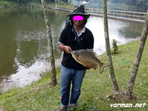 Ikan Pacu ("Pacu fish") - catch and release policy