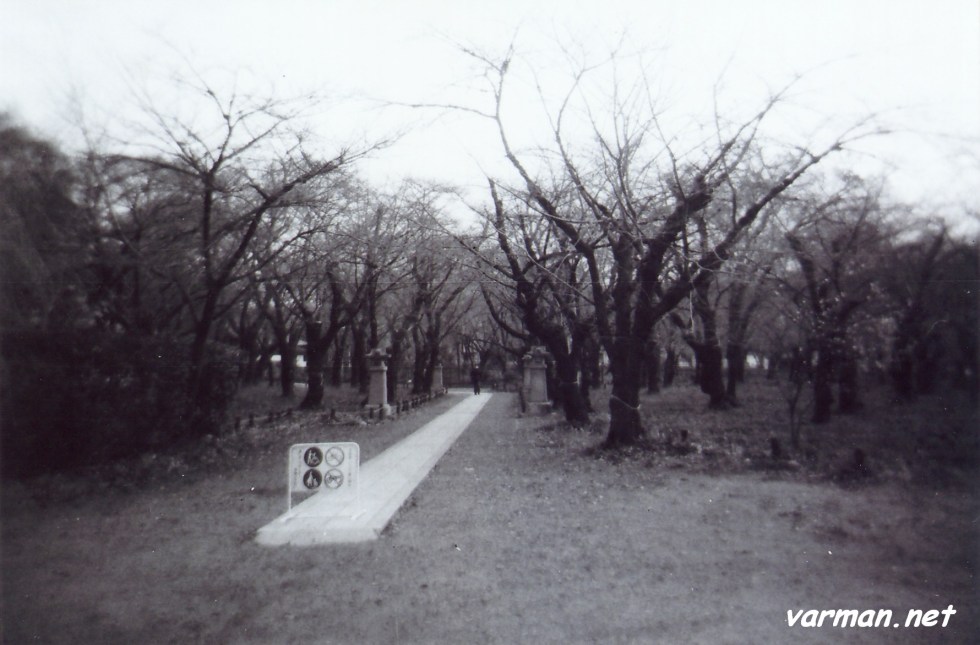 Beside Kinkaku-ji  Shot with analogue  Holga 120N