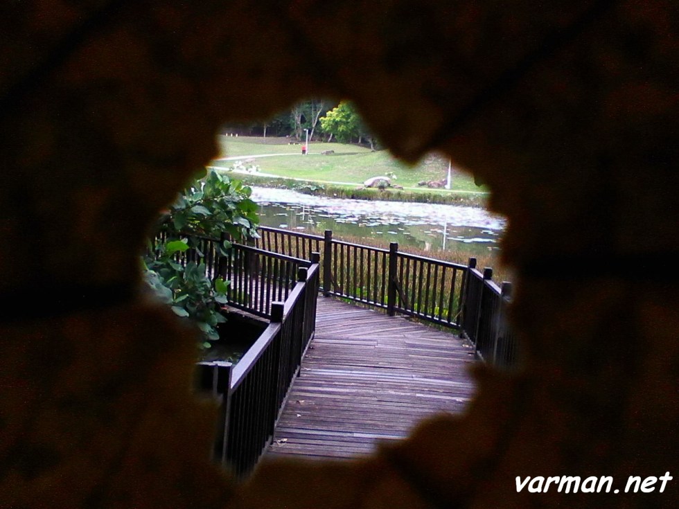 Framing: Mekar Shah Alam